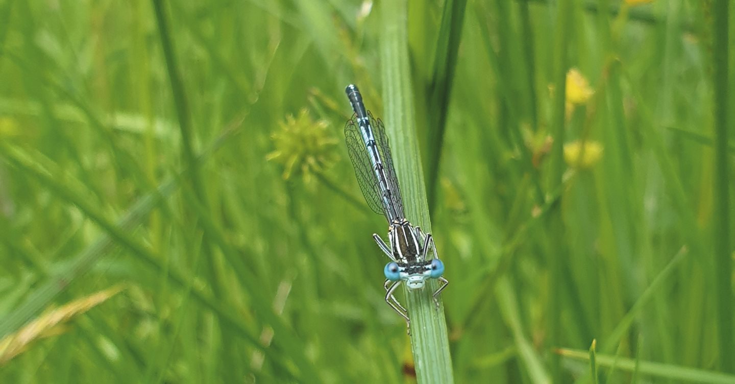 Bioraznolikost za zdrav planet